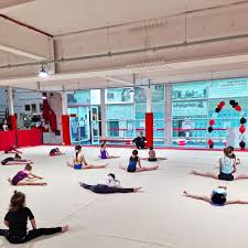 Image result for City Of Newcastle Gymnastics Academy