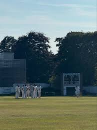 Image result for Nelson Cc