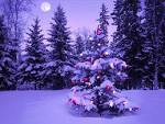Pourquoi d��core-t-on un sapin pour no��l ?
