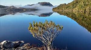 Image result for Derwent Valley Atc