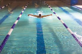 Image result for Selby Tiger Sharks Swimming Club