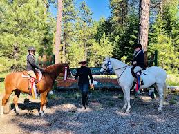 Image result for Elstead Riding Club