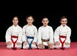 Image result for Merseyside judo association
