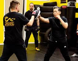 Image result for Somerset Jeet Kune Do