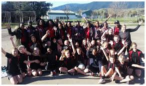 Image result for Shelley Netball Club