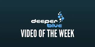 Image result for DeeperBlue.net Tribe (South London)