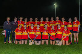 Image result for Moycarkey-Borris Gaa Club