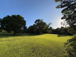 Image result for Bramston Sac