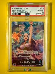 「ネフェルタリ・ビビ ONE PIECE」の画像検索結果