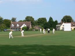 Image result for Lingfield Cricket Club