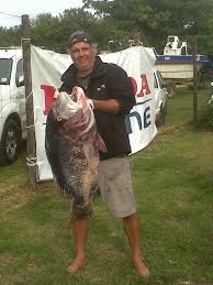 Image result for Cymatoceps nasutus