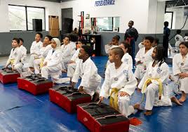 Image result for Skillz Martial Arts
