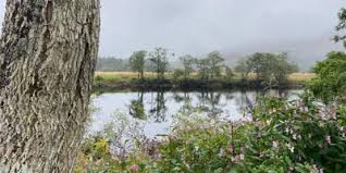 Image result for Dalmally Golf Club