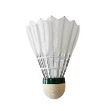 Image result for Thame Shuttles Badminton Club