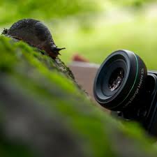 Attēlu rezultāti vaicājumam “macro”