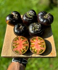 Afbeeldingsresultaat voor debarro black tomato