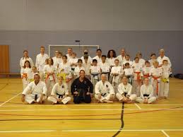 Image result for Cobra Karate Club