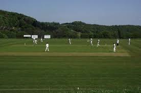 Image result for Bradley & Colnebridge Cricket Club
