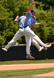 Image result for Bridgman Bowling Club