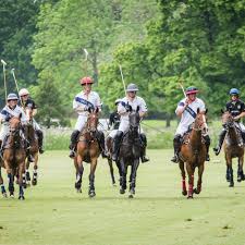 Image result for Kirtlington Park Polo Club