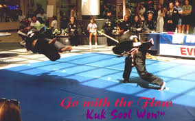 Image result for Kuk Sool Won Of Botesdale