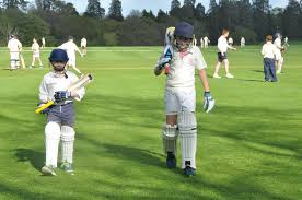 Image result for Bucklebury Cricket Club