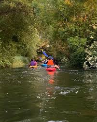 Image result for Wargrave Boating Club