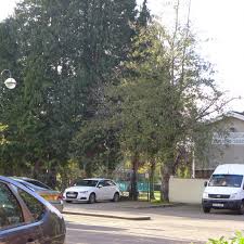 Image result for Ammanford Cricket Club