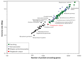Image result for genome sizes