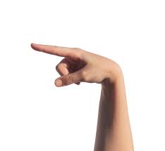 Znalezione obrazy dla zapytania palec