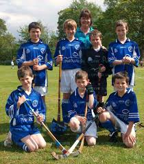 Image result for Lochcarron Camanachd