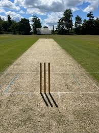 Image result for Morpeth Junior Cricket Club