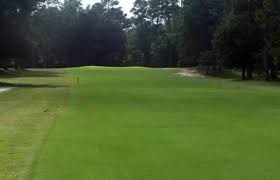 Image result for Darlington Scrabble Club