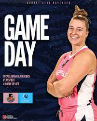 Image result for Sheffield Hatters Basketball Club