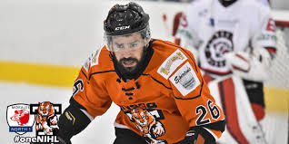 Image result for Basingstoke Bison Ice Hockey Club