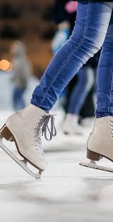 Image result for Milton Keynes Ice Skating Club