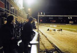 Image result for Reading Greyhound Track