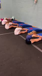 Image result for Weybridge Gymnastics