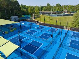 Image result for PICKLEBALL GORLESTON