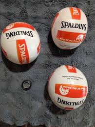 Image result for Spalding Saracens Volleyball Club