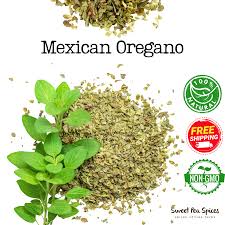 Image result for Oregano