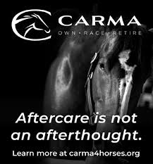 Image result for site:net pino◆MatthewZ8E