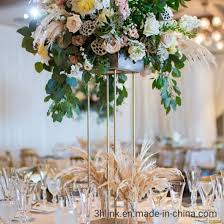 Attēlu rezultāti vaicājumam “Phragmites communis flower”