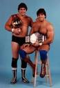 Dino Bravo