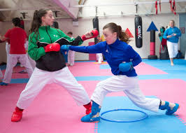 Image result for Plymouth Karate Club Kyokai