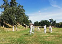 Image result for Checkendon Cricket Club