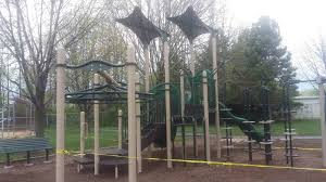 Image result for Sycamore Ttc