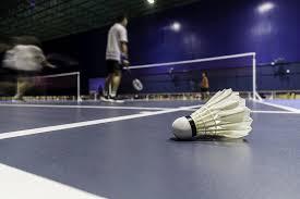 Image result for Ascend Badminton Club