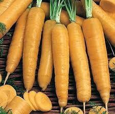 Image result for Möhren