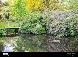 Image result for Arboretum Trompenburg